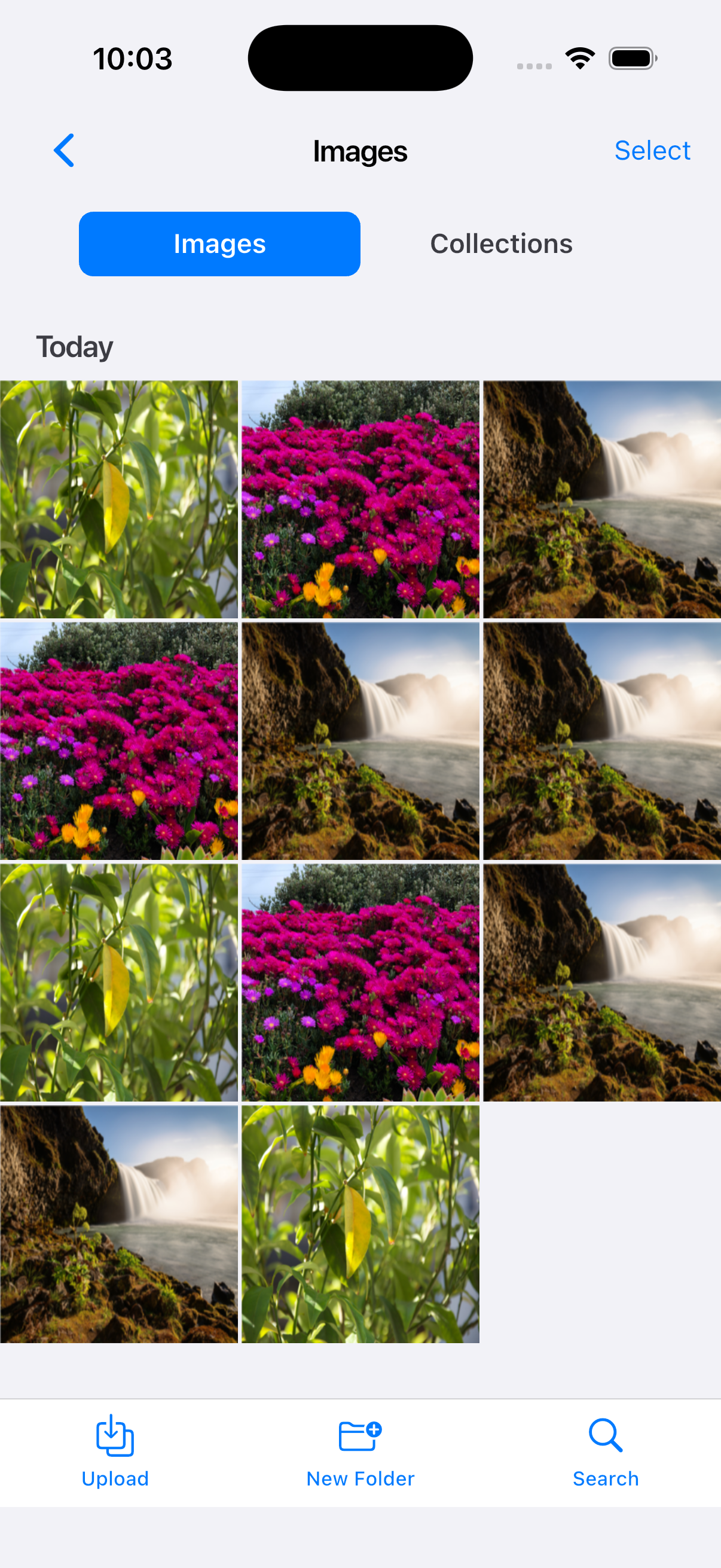 Images Gallery - Light Theme